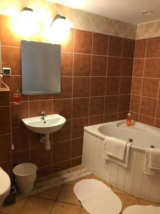 Апарт-отели Hotel VILLA Rezydent Вроцлав Двухместный номер с 1 кроватью и ванной-1